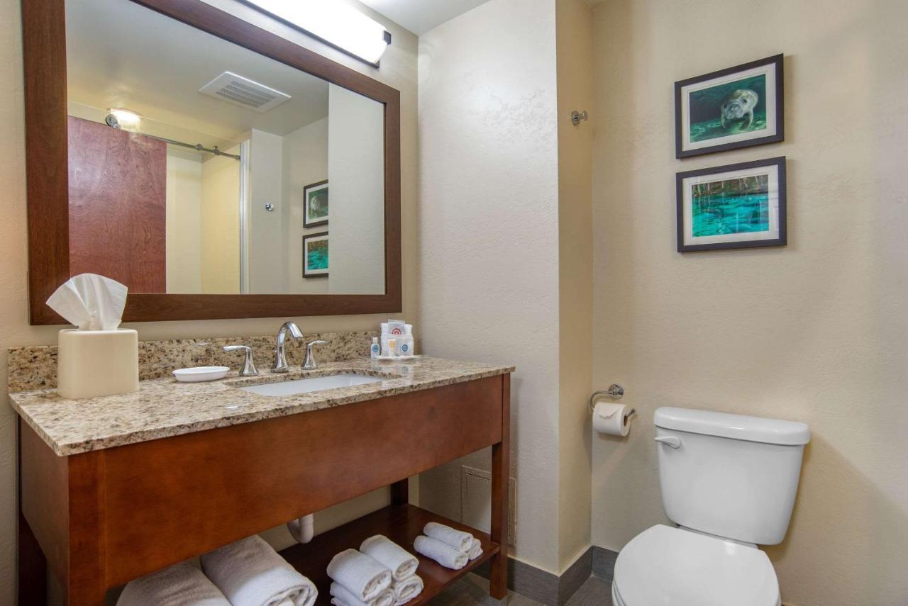 Comfort Suites Tallahassee Capitol - University Area Номер фото
